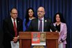 Republican representatives are shown at a March news conference in Springfield where they promoted bills aimed at protecting human trafficking victims. Pictured at the podium is Rep. Jeff Keicher, R-Sycamore. Other lawmakers from left are Rep. Brad Stephens, R-Rosemont; Rep. Nicole La Ha, R-Homer Glen and Rep. Jennifer Sanalitro, R-Hanover Park. Andrew Campbell/ Capitol News Illinois